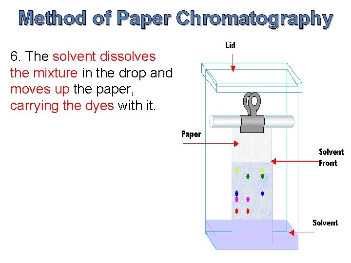 Method of Paper Chromatography 6. The solvent dissolves the mixture in the drop and