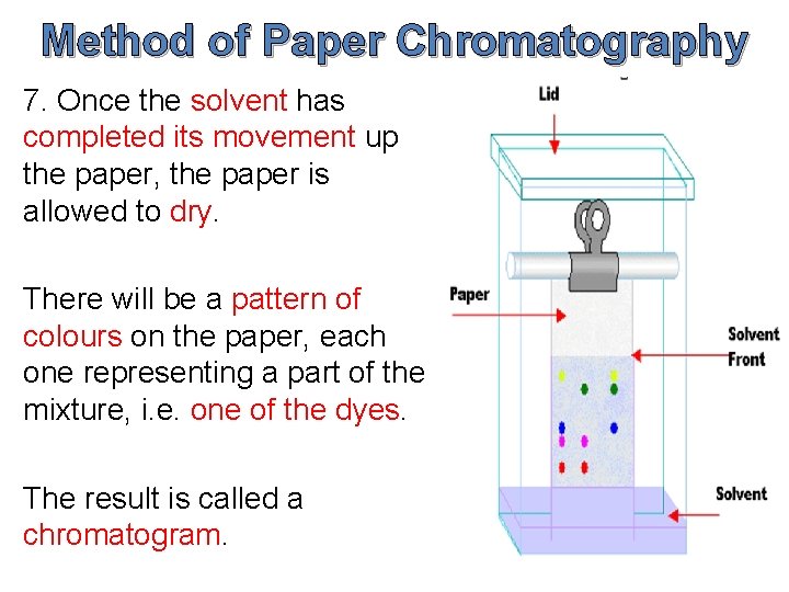 Method of Paper Chromatography 7. Once the solvent has completed its movement up the