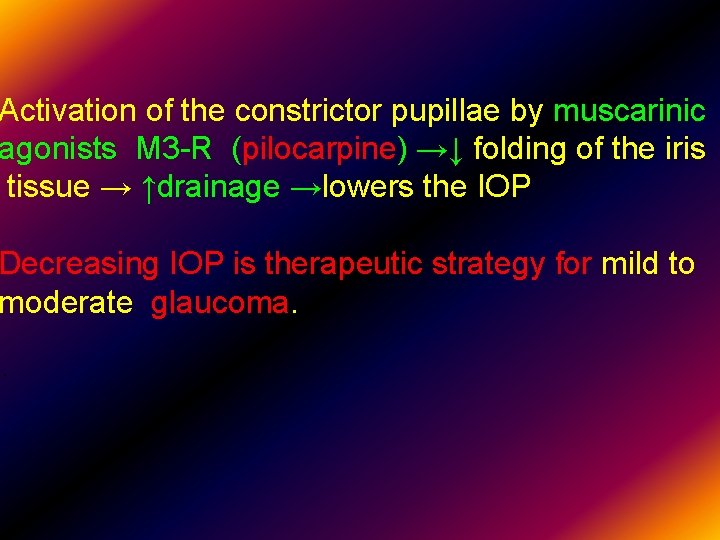 Activation of the constrictor pupillae by muscarinic agonists M 3 -R (pilocarpine) →↓ folding