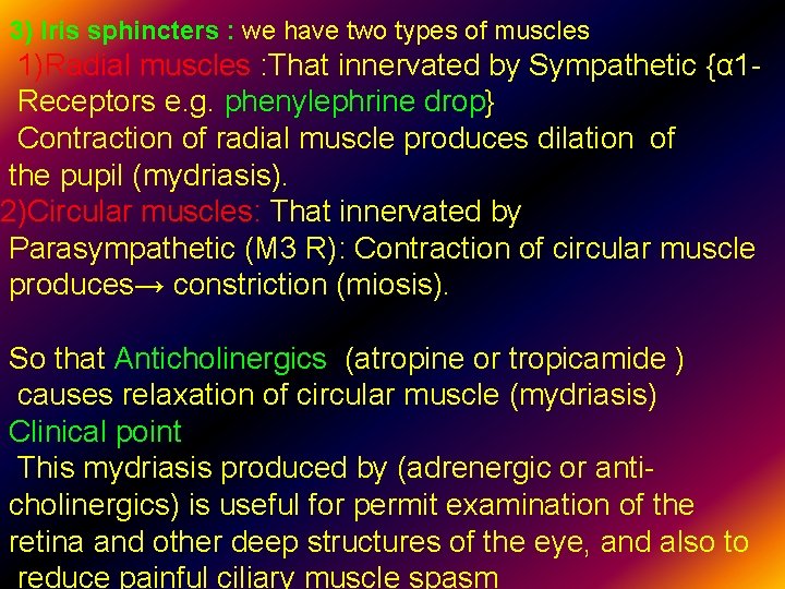 3) Iris sphincters : we have two types of muscles 1)Radial muscles : That