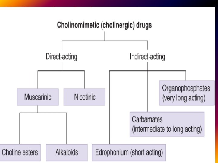 Cholinomimetic drugs. . 