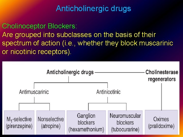  Anticholinergic drugs Cholinoceptor Blockers: Are grouped into subclasses on the basis of their