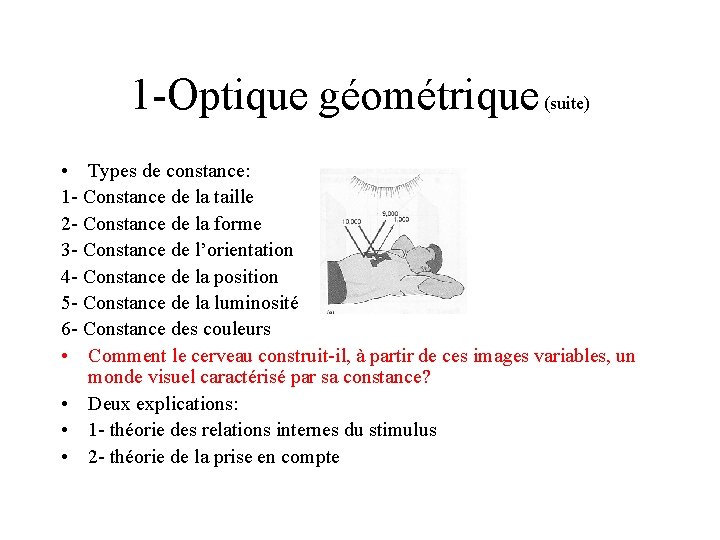 1 -Optique géométrique (suite) • Types de constance: 1 - Constance de la taille