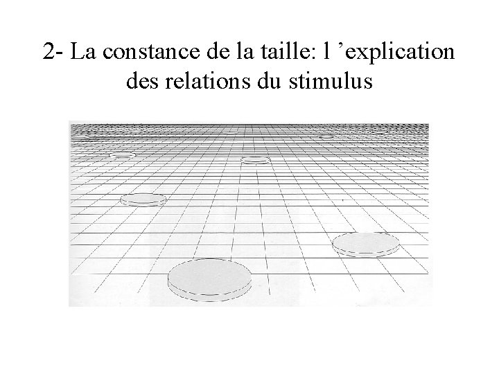 2 - La constance de la taille: l ’explication des relations du stimulus 