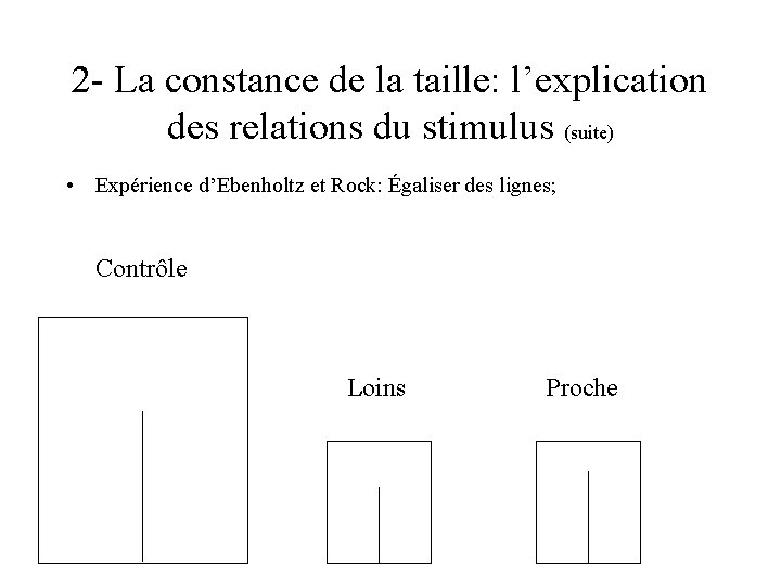 2 - La constance de la taille: l’explication des relations du stimulus (suite) •