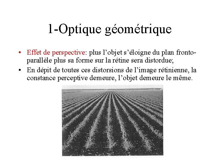 1 -Optique géométrique • Effet de perspective: plus l’objet s’éloigne du plan frontoparallèle plus