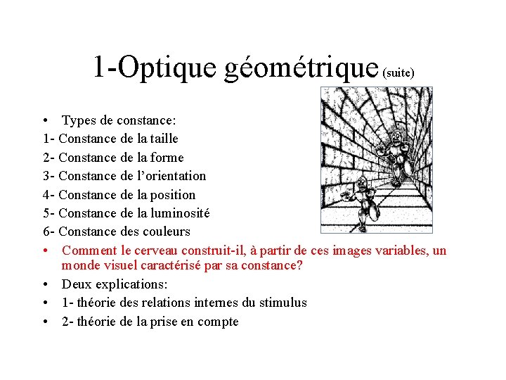1 -Optique géométrique (suite) • Types de constance: 1 - Constance de la taille