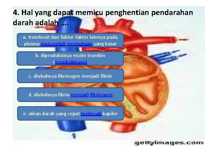 4. Hal yang dapat memicu penghentian pendarahan darah adalah …. a. trombosit dan faktor-faktor