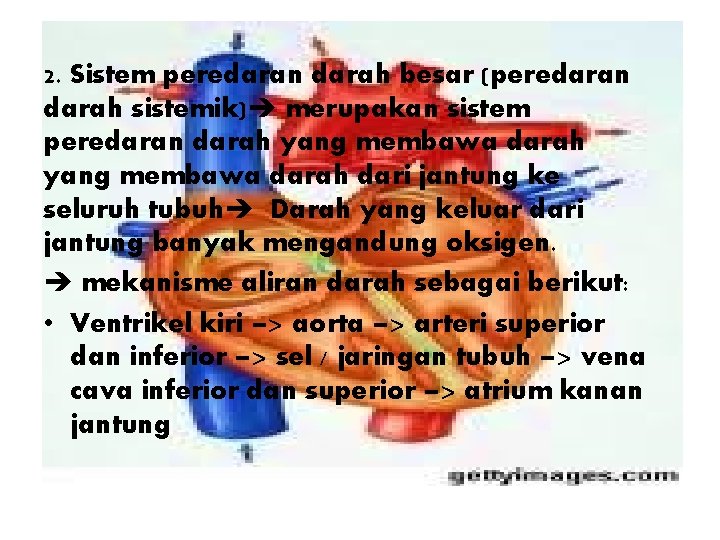 2. Sistem peredaran darah besar (peredaran darah sistemik) merupakan sistem peredaran darah yang membawa