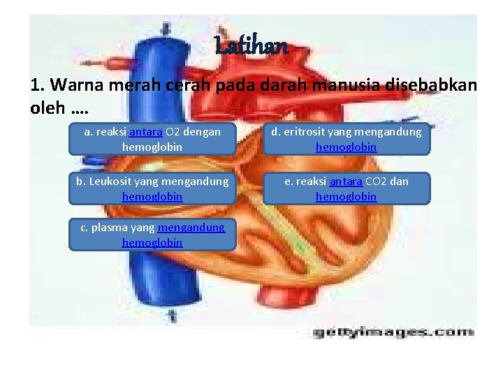 Latihan 1. Warna merah cerah pada darah manusia disebabkan oleh …. a. reaksi antara