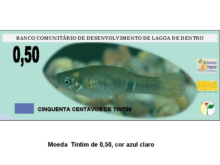 BANCO COMUNITÁRIO DE DESENVOLVIMENTO DE LAGOA DE DENTRO CINQUENTA CENTAVOS DE TINTIM Moeda Tintim