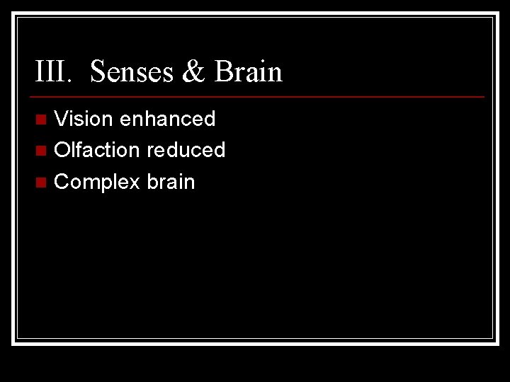 III. Senses & Brain Vision enhanced n Olfaction reduced n Complex brain n 