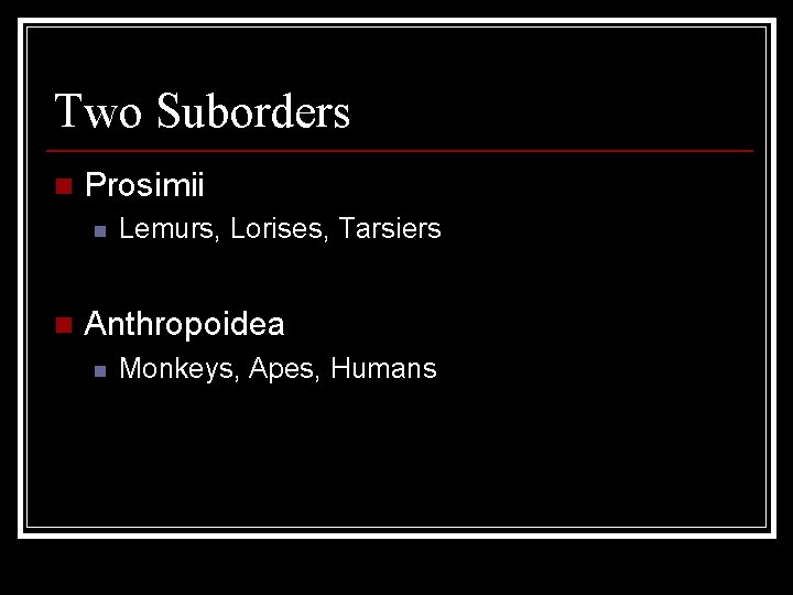 Two Suborders n Prosimii n n Lemurs, Lorises, Tarsiers Anthropoidea n Monkeys, Apes, Humans