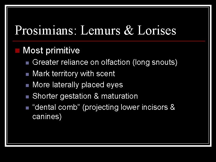 Prosimians: Lemurs & Lorises n Most primitive n n n Greater reliance on olfaction
