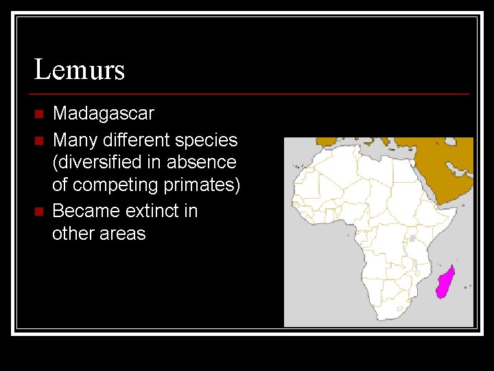 Lemurs n n n Madagascar Many different species (diversified in absence of competing primates)