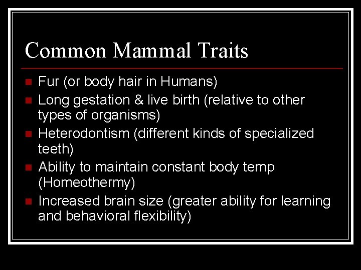 Common Mammal Traits n n n Fur (or body hair in Humans) Long gestation