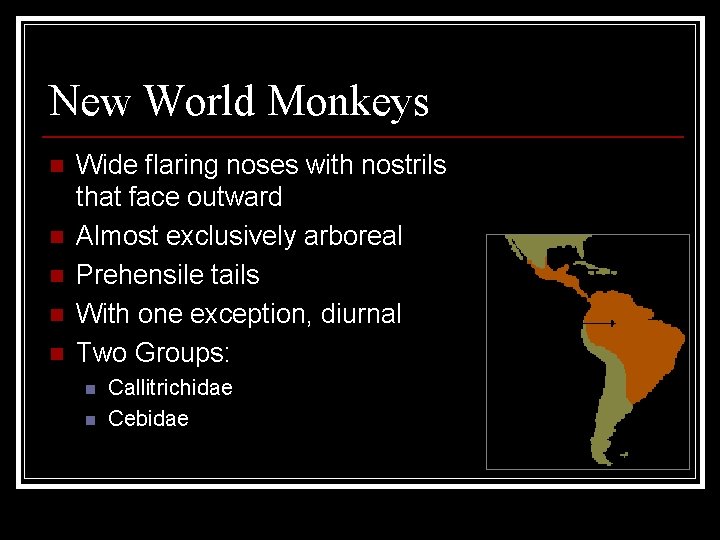 New World Monkeys n n n Wide flaring noses with nostrils that face outward
