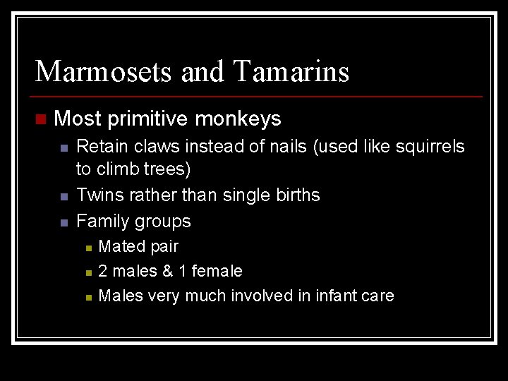 Marmosets and Tamarins n Most primitive monkeys n n n Retain claws instead of