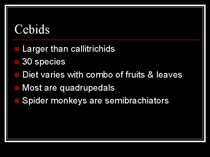 Cebids Larger than callitrichids n 30 species n Diet varies with combo of fruits