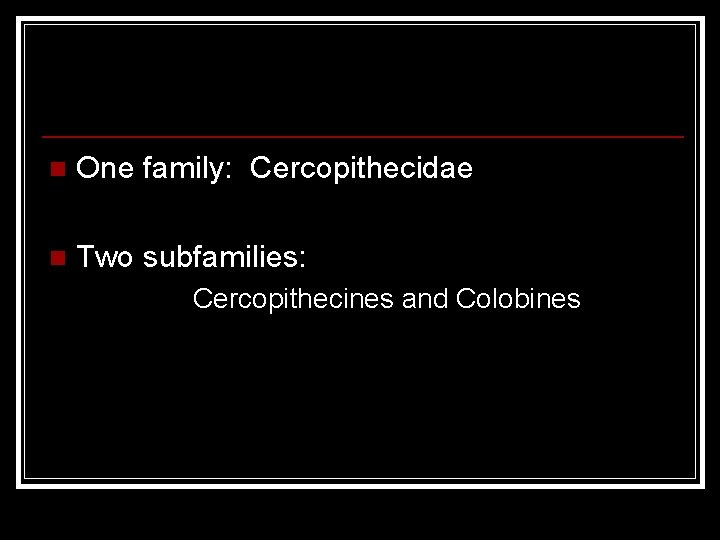 n One family: Cercopithecidae n Two subfamilies: Cercopithecines and Colobines 