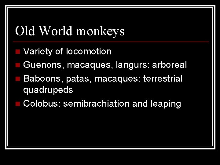 Old World monkeys Variety of locomotion n Guenons, macaques, langurs: arboreal n Baboons, patas,