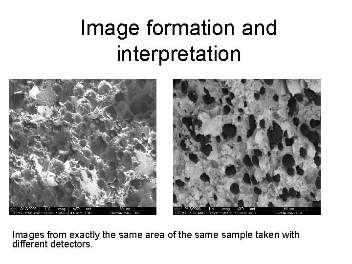 Image formation and interpretation Images from exactly the same area of the sample taken