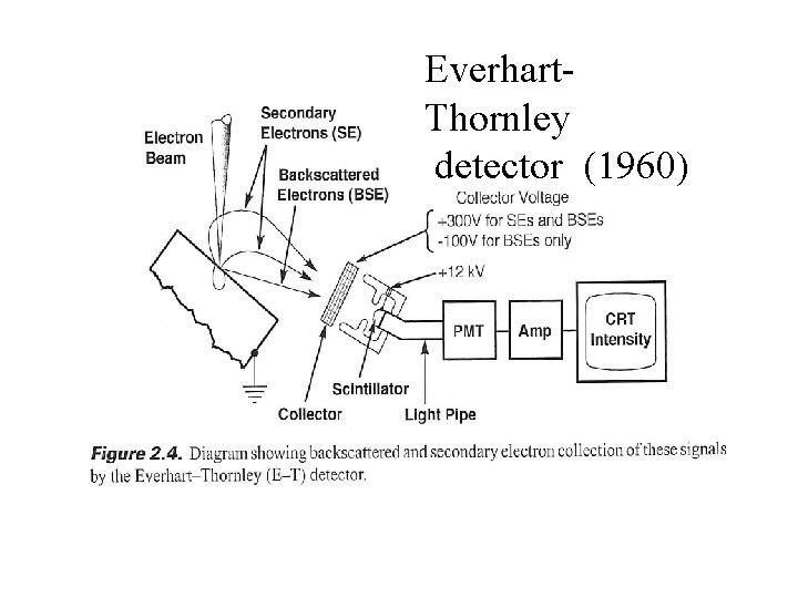 Everhart. Thornley detector (1960) 