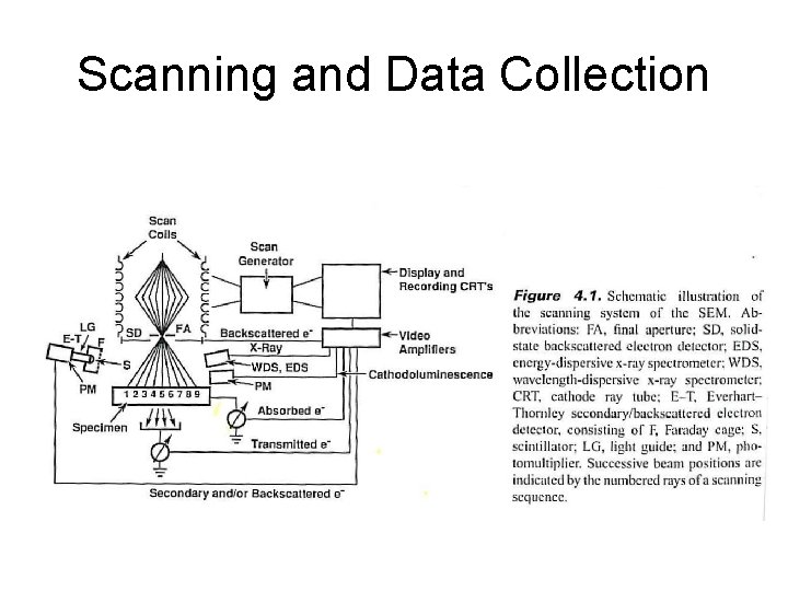 Scanning and Data Collection 