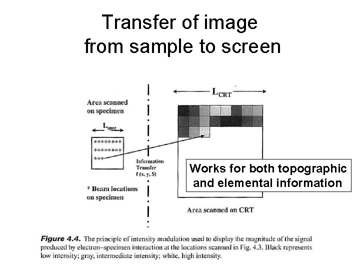 Transfer of image from sample to screen Works for both topographic and elemental information