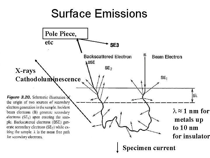 Surface Emissions Pole Piece, etc SE 3 X-rays Cathodoluminescence l ≈ 1 nm for