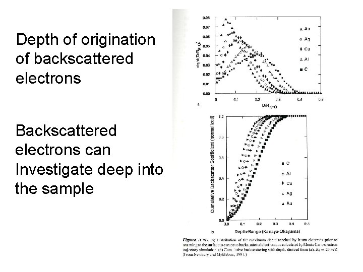 Depth of origination of backscattered electrons Backscattered electrons can Investigate deep into the sample