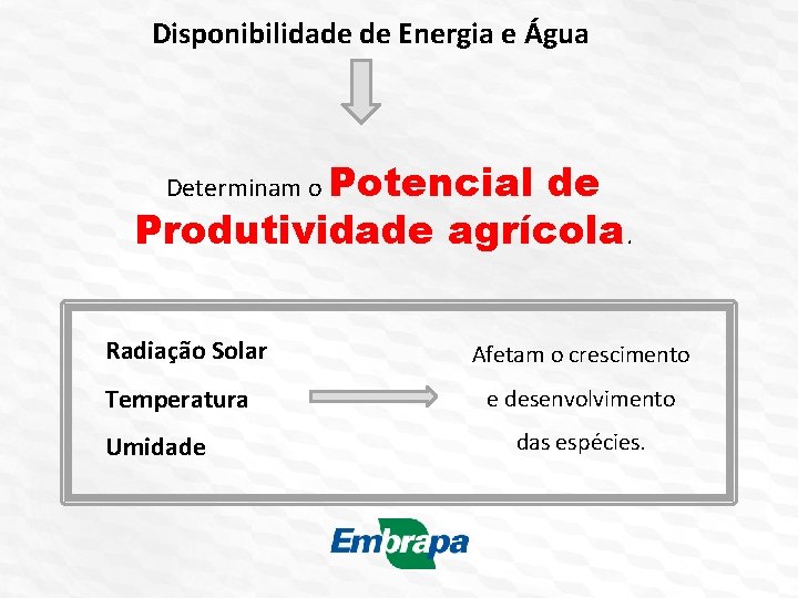 Disponibilidade de Energia e Água Determinam o Potencial de Produtividade agrícola. Radiação Solar Temperatura