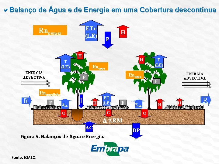  Balanço de Água e de Energia em uma Cobertura descontínua ETc (LE) Rnpomar