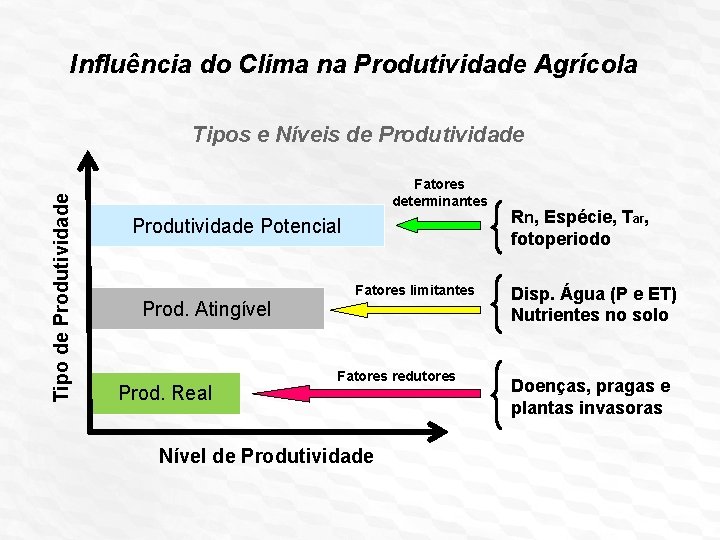 Influência do Clima na Produtividade Agrícola Tipo de Produtividade Tipos e Níveis de Produtividade