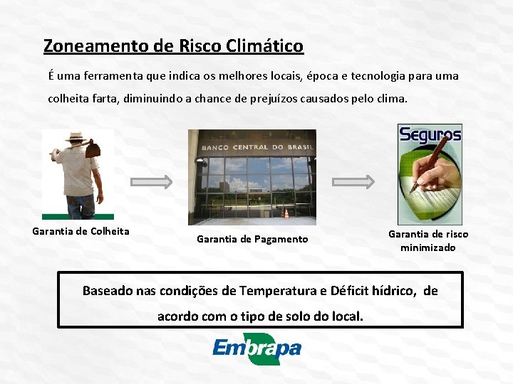 Zoneamento de Risco Climático É uma ferramenta que indica os melhores locais, época e