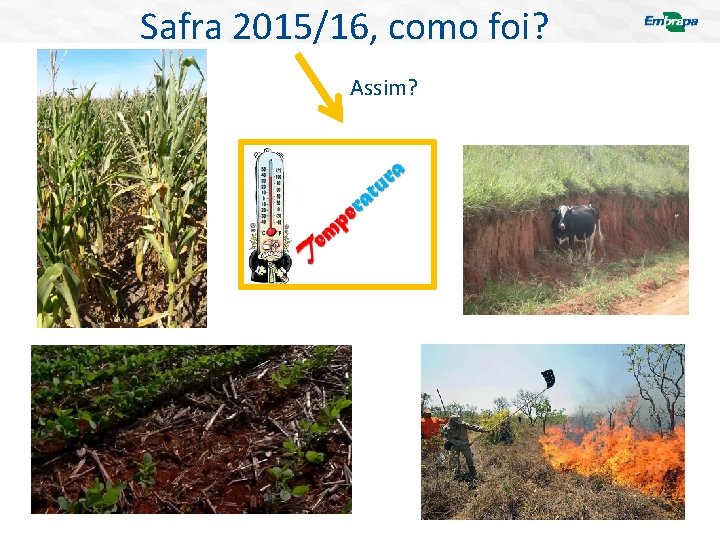 Safra 2015/16, como foi? Assim? 