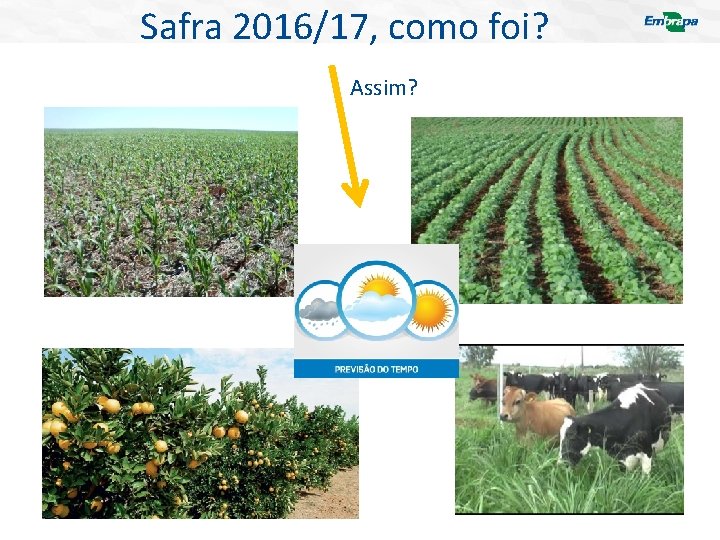 Safra 2016/17, como foi? Assim? 