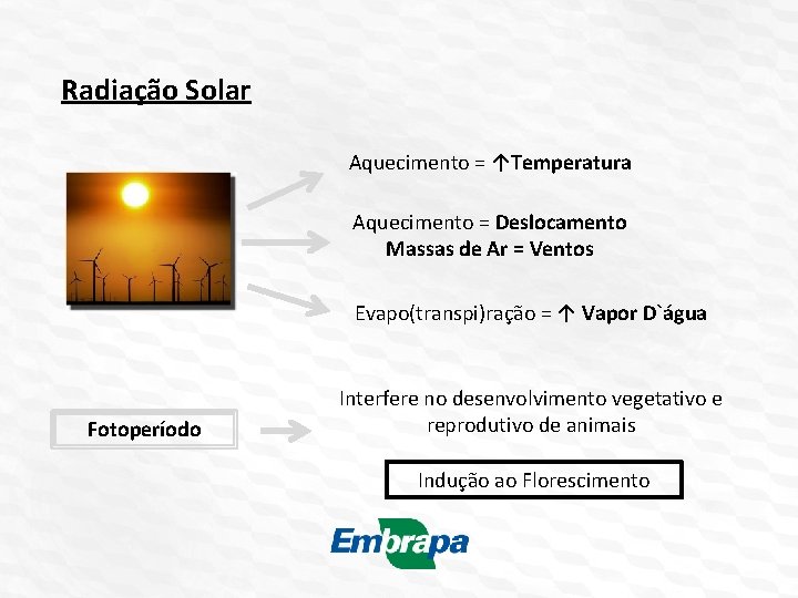 Radiação Solar Aquecimento = ↑Temperatura Aquecimento = Deslocamento Massas de Ar = Ventos Evapo(transpi)ração