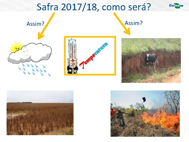 Safra 2017/18, como será? Assim? 