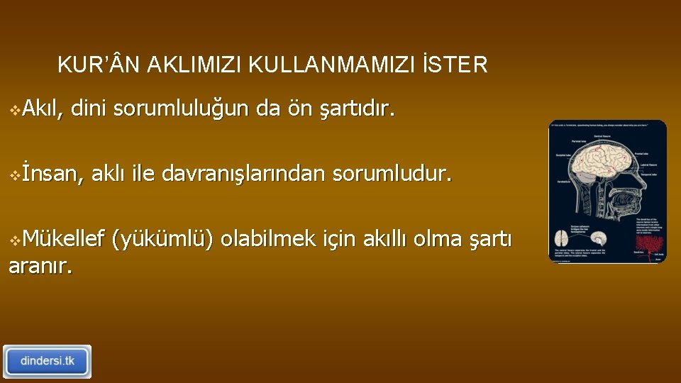 KUR’ N AKLIMIZI KULLANMAMIZI İSTER v. Akıl, dini sorumluluğun da ön şartıdır. vİnsan, aklı