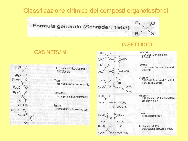 Classificazione chimica dei composti organofosforici INSETTICIDI GAS NERVINI 