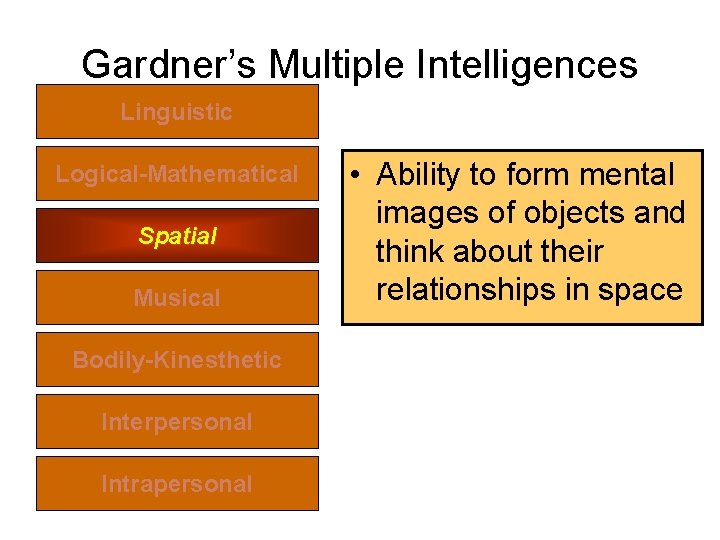 Gardner’s Multiple Intelligences Linguistic Logical-Mathematical Spatial Musical Bodily-Kinesthetic Interpersonal Intrapersonal • Ability to form Gardner’s Multiple Intelligences Linguistic Logical-Mathematical Spatial Musical Bodily-Kinesthetic Interpersonal Intrapersonal • Ability to form