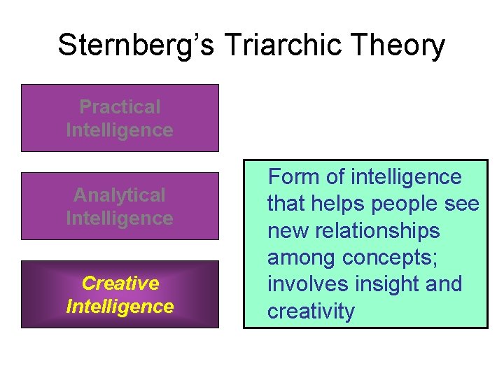 Sternberg’s Triarchic Theory Practical Intelligence Analytical Intelligence Creative Intelligence Form of intelligence that helps Sternberg’s Triarchic Theory Practical Intelligence Analytical Intelligence Creative Intelligence Form of intelligence that helps