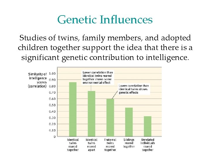 Genetic Influences Studies of twins, family members, and adopted children together support the idea Genetic Influences Studies of twins, family members, and adopted children together support the idea
