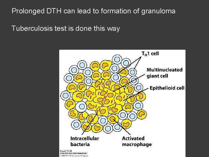 Prolonged DTH can lead to formation of granuloma Tuberculosis test is done this way