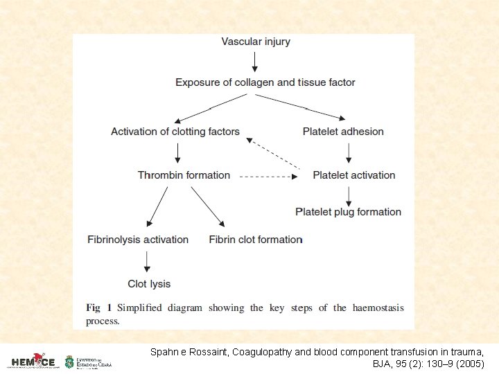 Spahn e Rossaint, Coagulopathy and blood component transfusion in trauma, BJA, 95 (2): 130–