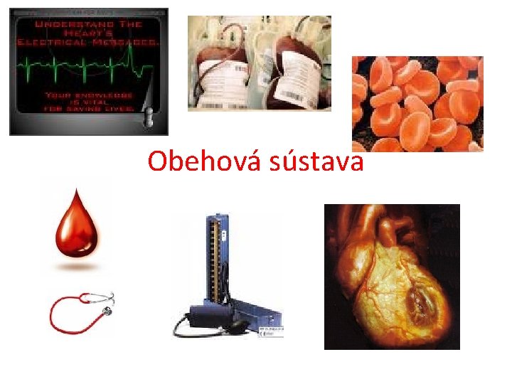 Obehová sústava 