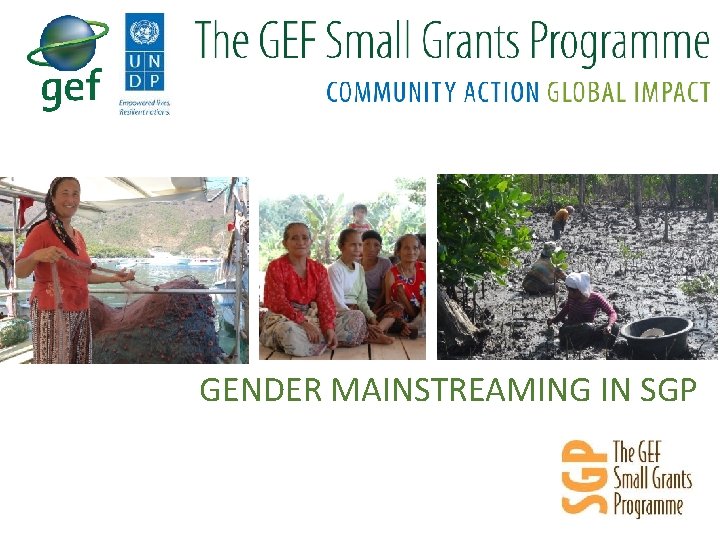 GENDER MAINSTREAMING IN SGP 