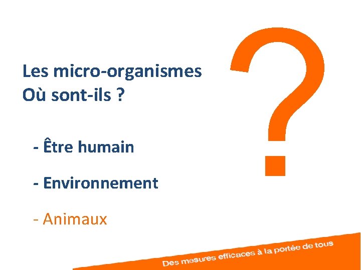 Les micro-organismes Où sont-ils ? - Être humain - Environnement - Animaux ? 