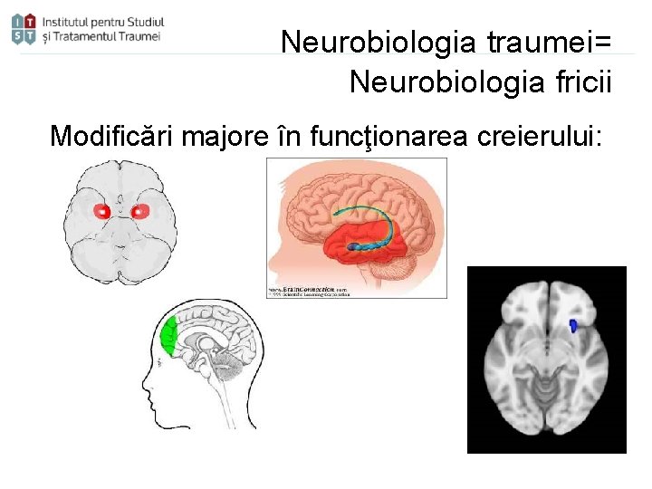 Neurobiologia traumei= Neurobiologia fricii Modificări majore în funcţionarea creierului: 